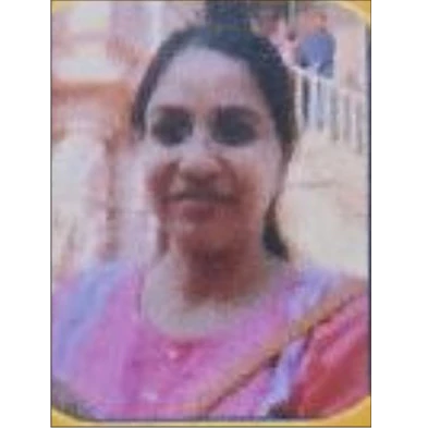 User Profile